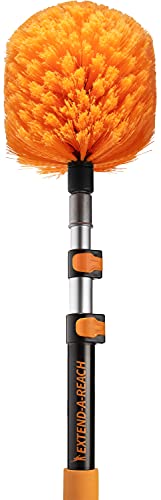 Best Spider Web Brush - Latest Guide