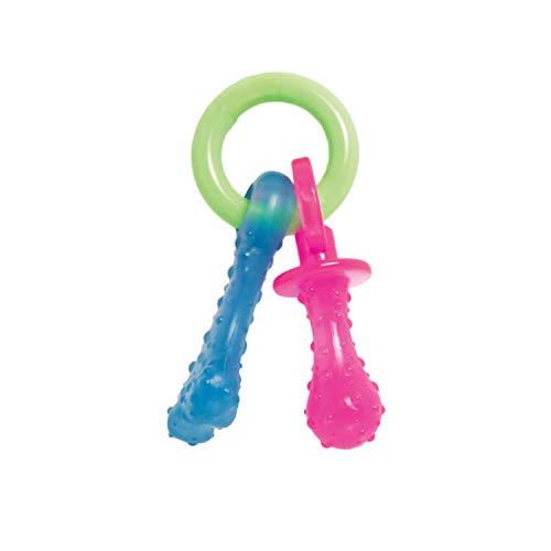 10 Best Dog Pacifier -Reviews & Buying Guide