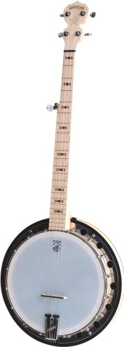 Best Banjo Strings - Latest Guide