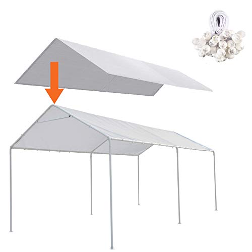 10 Best X 20 Canopy -Reviews & Buying Guide