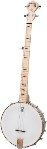 Best Banjo Strings - Latest Guide