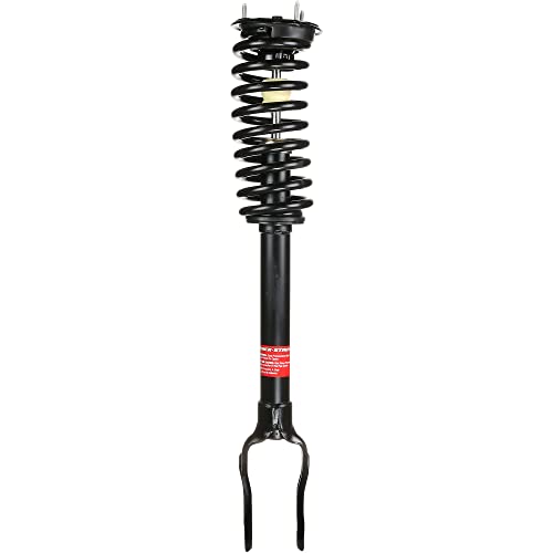 10 Best Strut Assembly -Reviews & Buying Guide