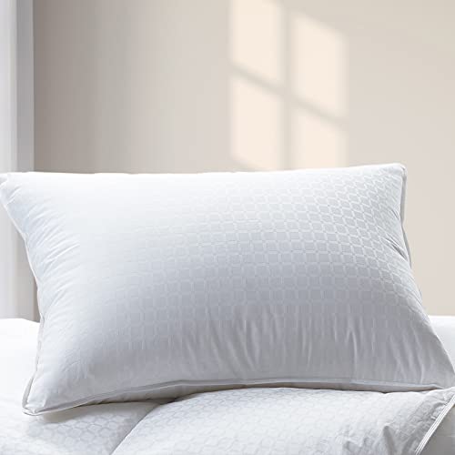 10 Best Cuddledown -Reviews & Buying Guide