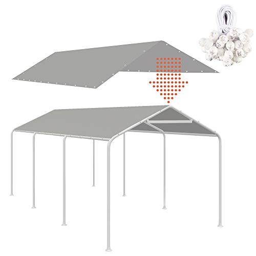 10 Best X 20 Canopy -Reviews & Buying Guide