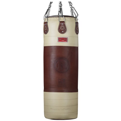 10 Best Ringside Boxing -Reviews & Buying Guide
