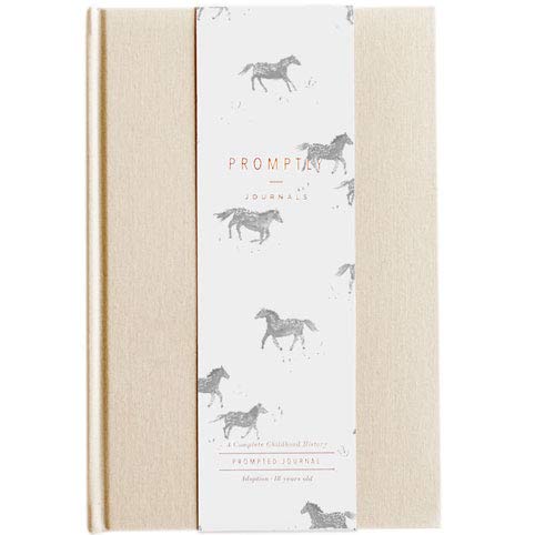 10 Best Promptly Journals -Reviews & Buying Guide