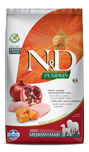 Best Farmina Dog Food - Latest Guide