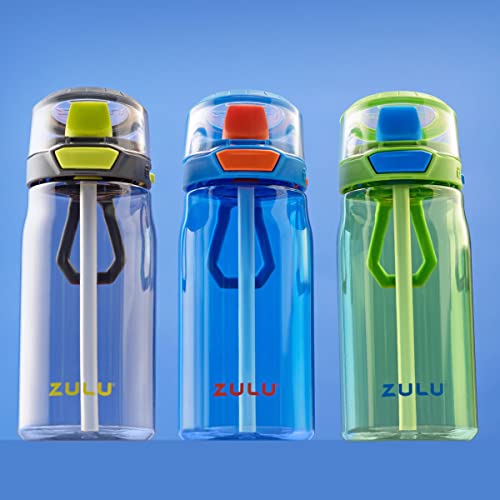 10 Best Zulu Water Bottle -Reviews & Buying Guide
