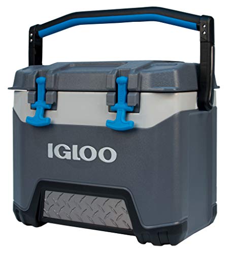 Best Artic Cooler - Latest Guide