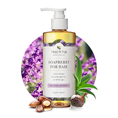 10 Best Shampoo For Dry Hair And Sensitive Scalp -Reviews & Buying Guide