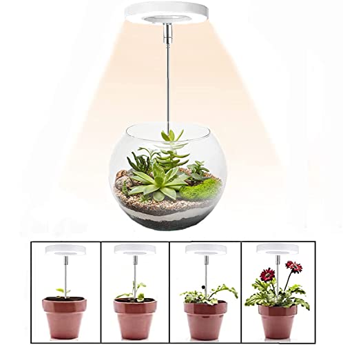 10 Best Halo Grow Light -Reviews & Buying Guide