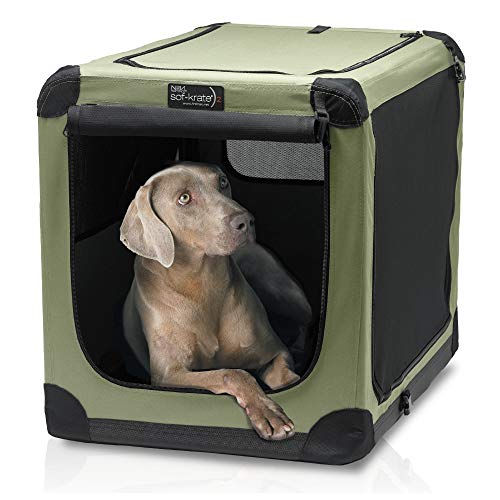 Best Amazonbasics Portable Folding Soft Dog Travel Crate Kennel - Latest Guide