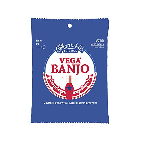 Best Banjo Strings - Latest Guide