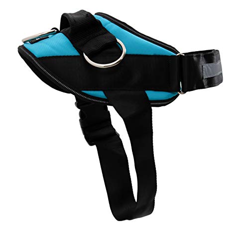 10 Best Joyride Harness Review -Reviews & Buying Guide