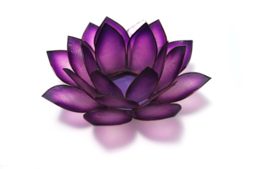 10 Best Lotus Candle -Reviews & Buying Guide