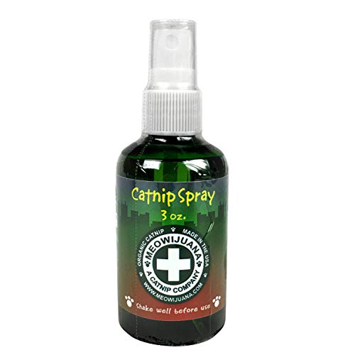 Best Meowijuana Spray - Latest Guide