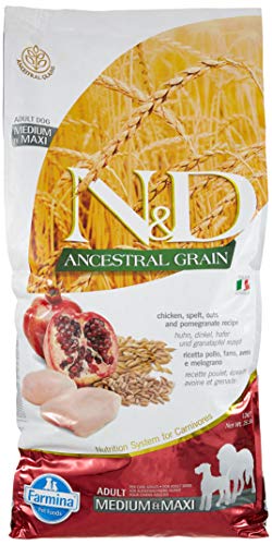 Best Farmina Dog Food - Latest Guide