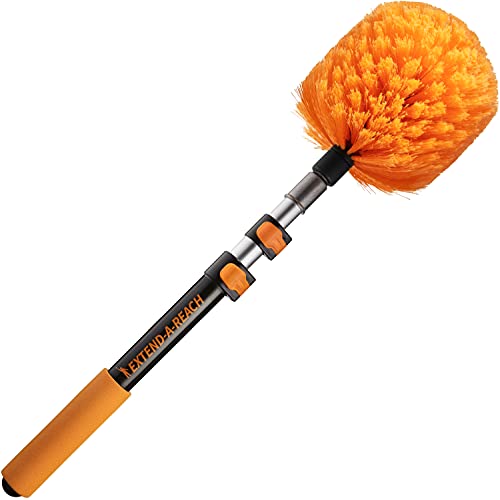 Best Spider Web Brush - Latest Guide