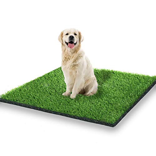 Best Potty Training Grass For Dogs - Latest Guide