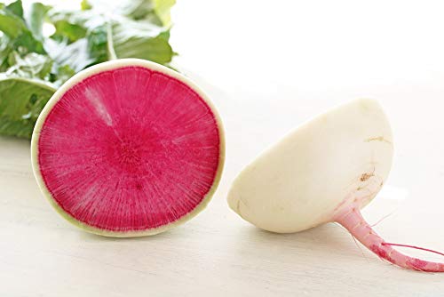 Best Watermelon Radish Seeds - Latest Guide