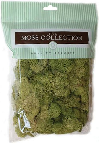 10 Best Pittmoss -Reviews & Buying Guide