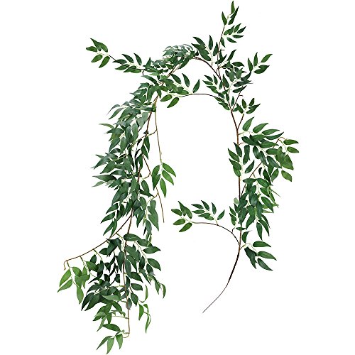 10 Best Willow Crowns -Reviews & Buying Guide