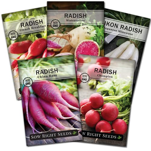 Best Watermelon Radish Seeds - Latest Guide
