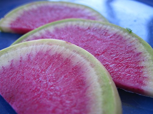 Best Watermelon Radish Seeds - Latest Guide