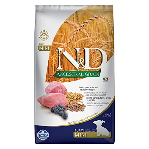 Best Farmina Dog Food - Latest Guide