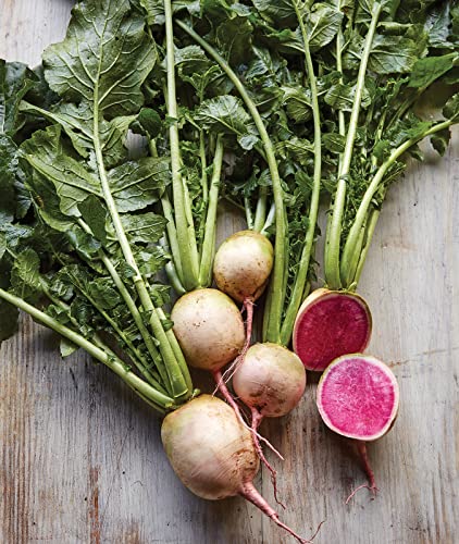 Best Watermelon Radish Seeds - Latest Guide