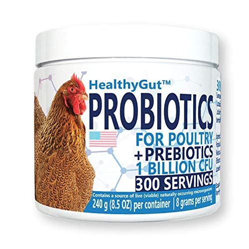 10 Best Amprolium For Chickens -Reviews & Buying Guide