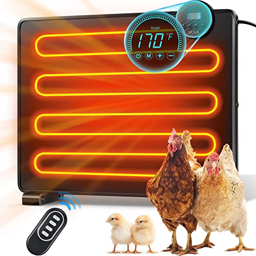 Best Chicken Coop Heater - Latest Guide