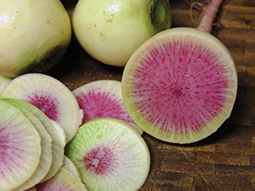 Best Watermelon Radish Seeds - Latest Guide