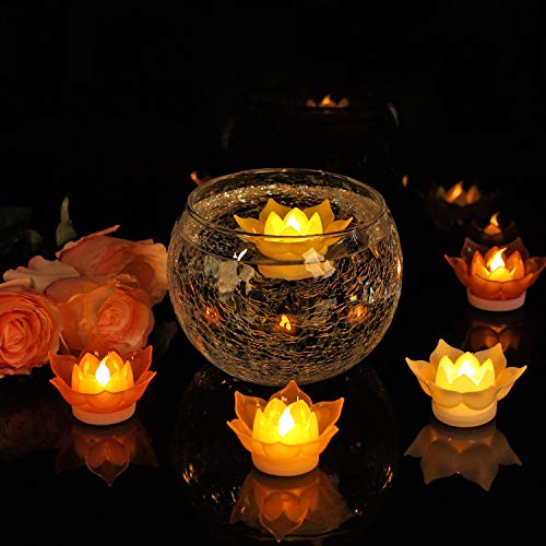 10 Best Lotus Candle -Reviews & Buying Guide