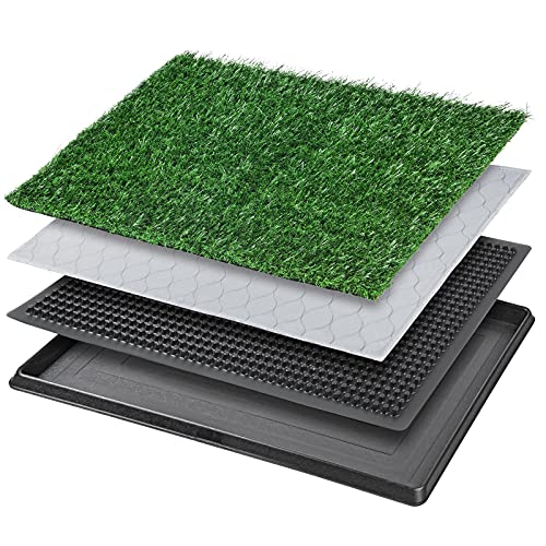 Best Potty Training Grass For Dogs - Latest Guide