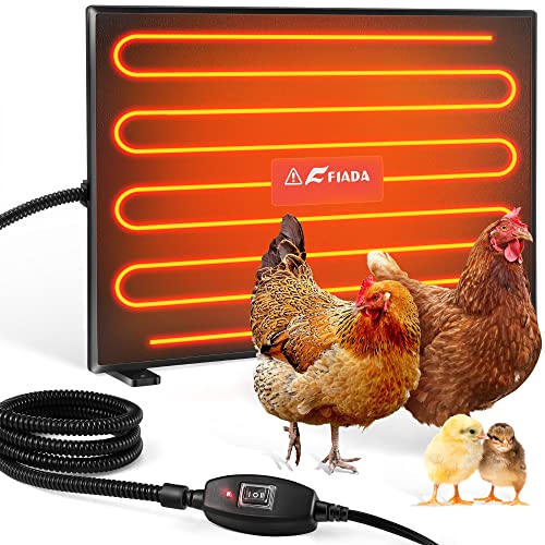 Best Chicken Coop Heater - Latest Guide