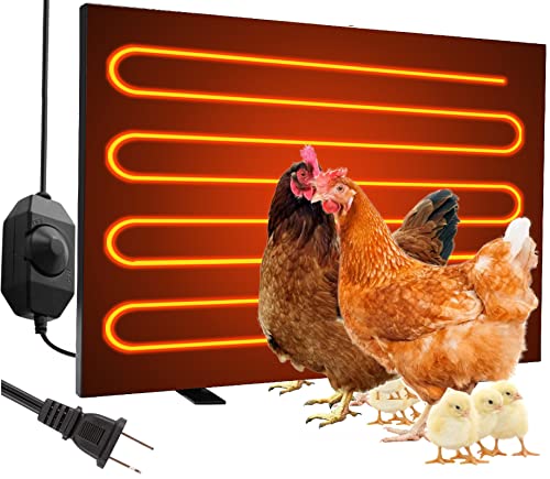 Best Chicken Coop Heater - Latest Guide