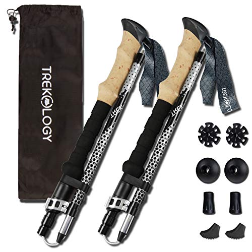 10 Best Hiking Sticks -Reviews & Buying Guide
