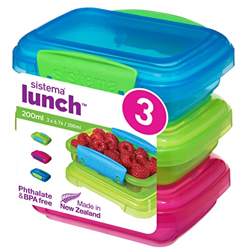 Best Sistema Containers - Latest Guide