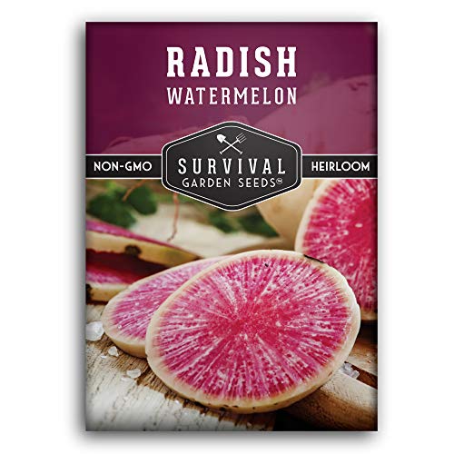 Best Watermelon Radish Seeds - Latest Guide