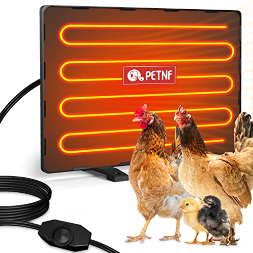 Best Chicken Coop Heater - Latest Guide