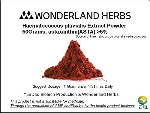 Best Astaxanthin Powder - Latest Guide