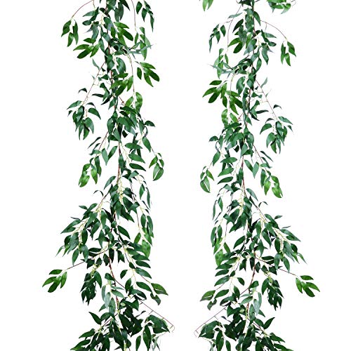 10 Best Willow Crowns -Reviews & Buying Guide