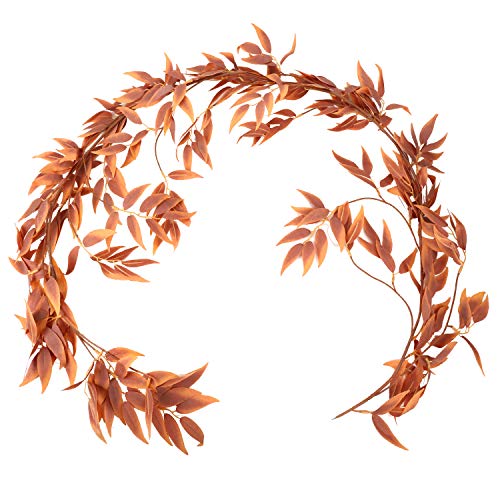 10 Best Willow Crowns -Reviews & Buying Guide