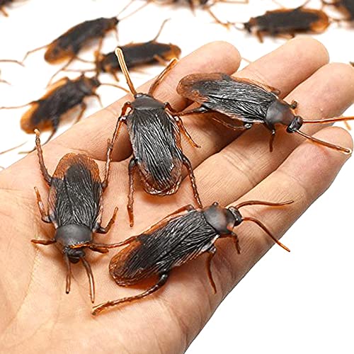 Best Cockroach Poker - Latest Guide