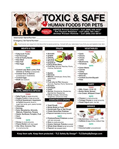 Best Tlc Dog Food - Latest Guide