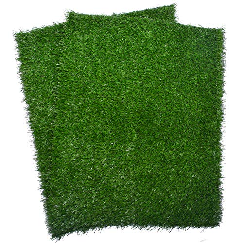 Best Potty Training Grass For Dogs - Latest Guide