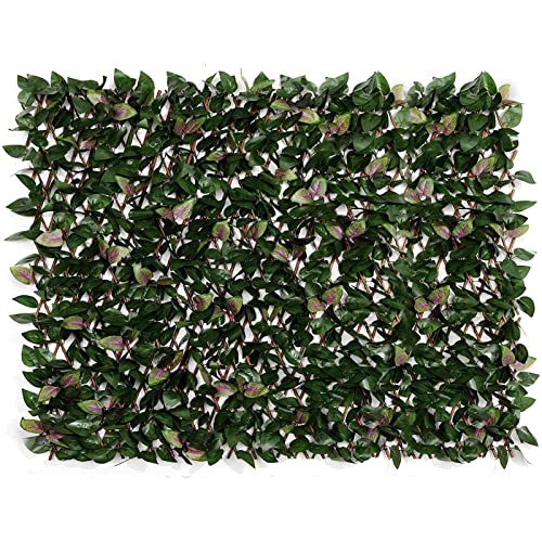 10 Best Expandable Faux Privacy Fence -Reviews & Buying Guide