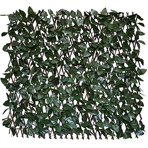 10 Best Expandable Faux Privacy Fence -Reviews & Buying Guide