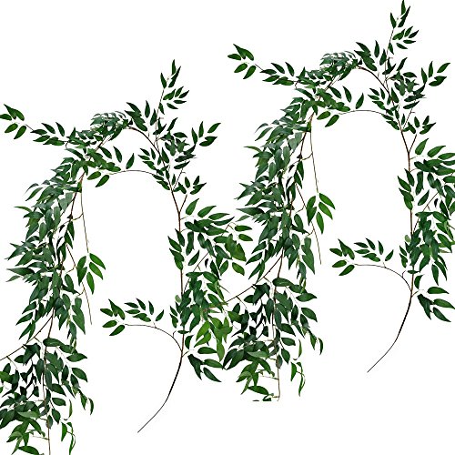 10 Best Willow Crowns -Reviews & Buying Guide